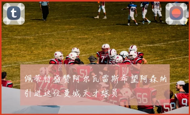 佩蒂特盛赞阿尔瓦雷斯希望阿森纳引进这位曼城天才球员
