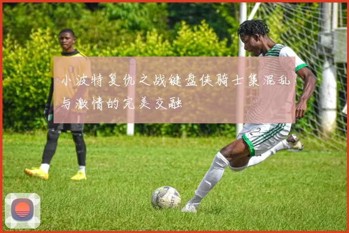 小波特复仇之战键盘侠骑士集混乱与激情的完美交融